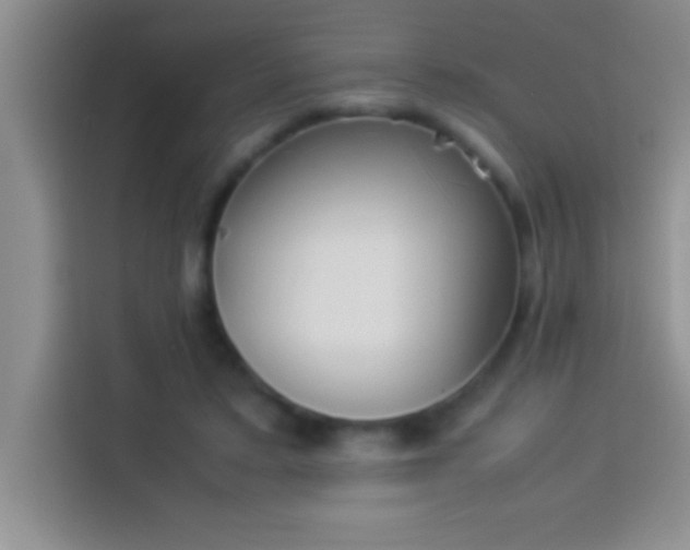 X0000113910403200910011453