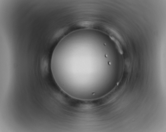 X0000113910404200910011453