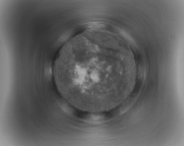 X0000113910405200910011453