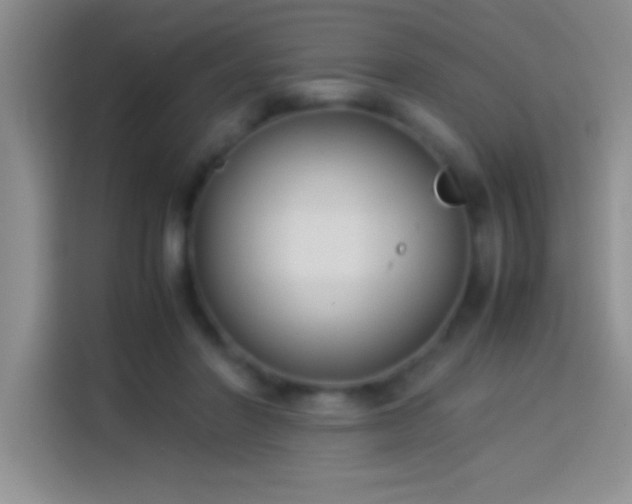 X0000113910406200910011453