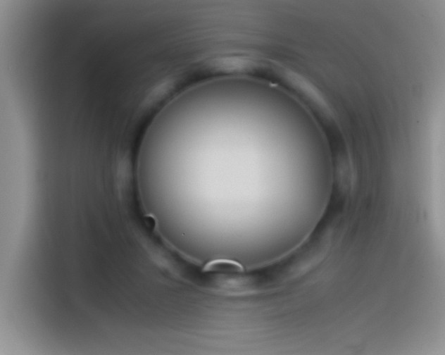 X0000113910407200910011453