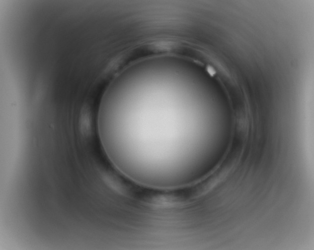 X0000113910408200910011453