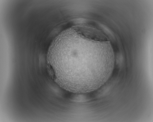 X0000113910409200910011453