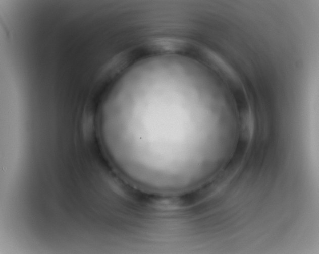 X0000113910410200910011453