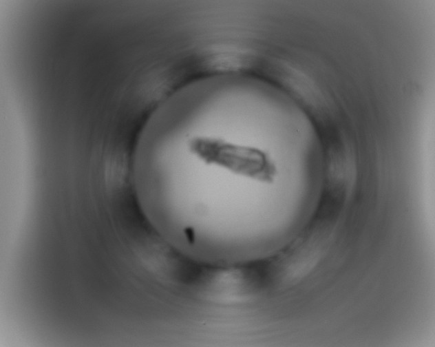 X0000113910411200910011453