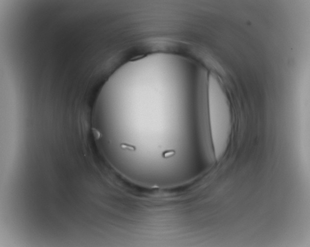 X0000113910413200910011453