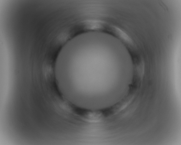 X0000113910415200910011453