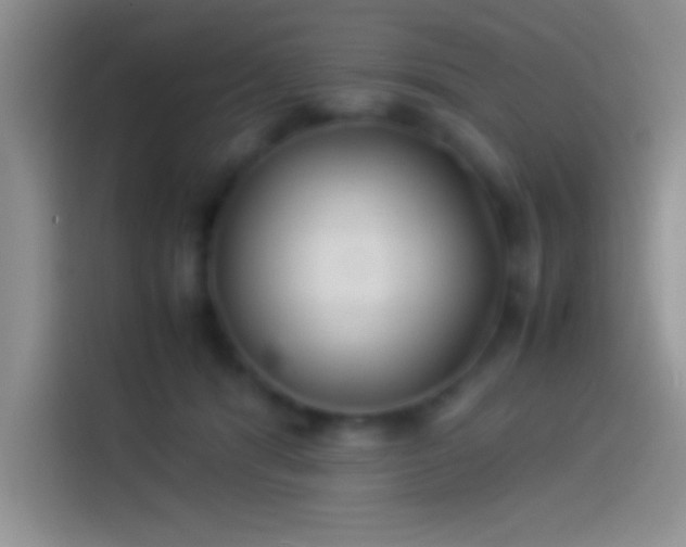 X0000113910416200910011453