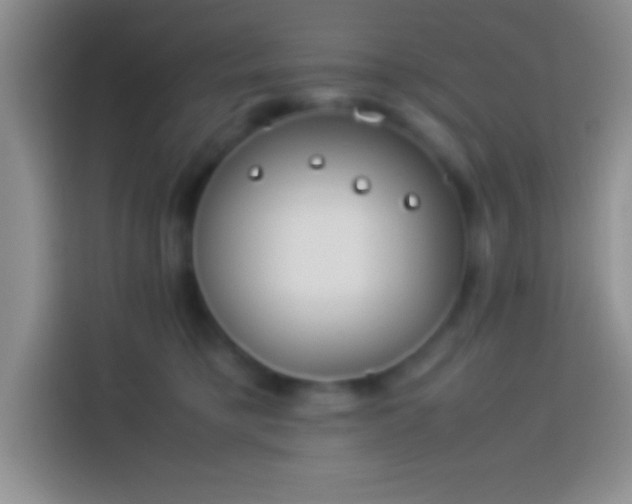 X0000113910421200910011452