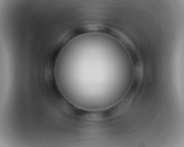 X0000113910422200910011452