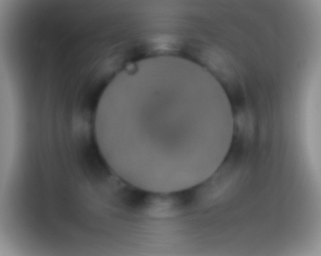 X0000113910423200910011452