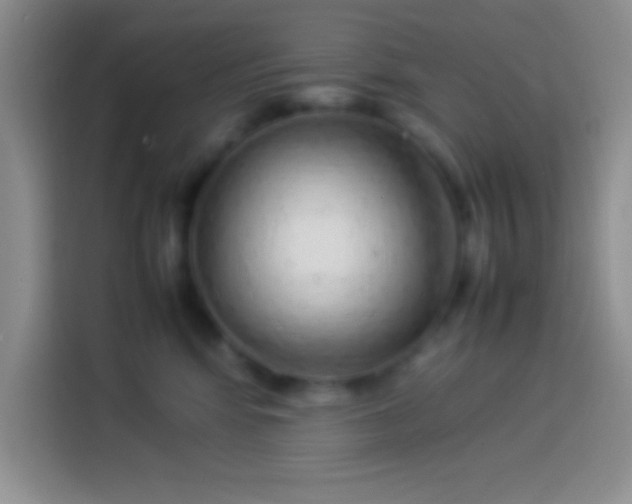 X0000113910424200910011452