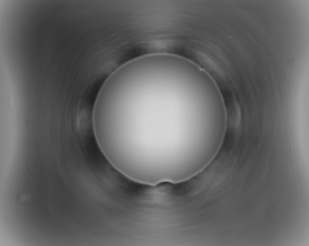 X0000113910425200910011452