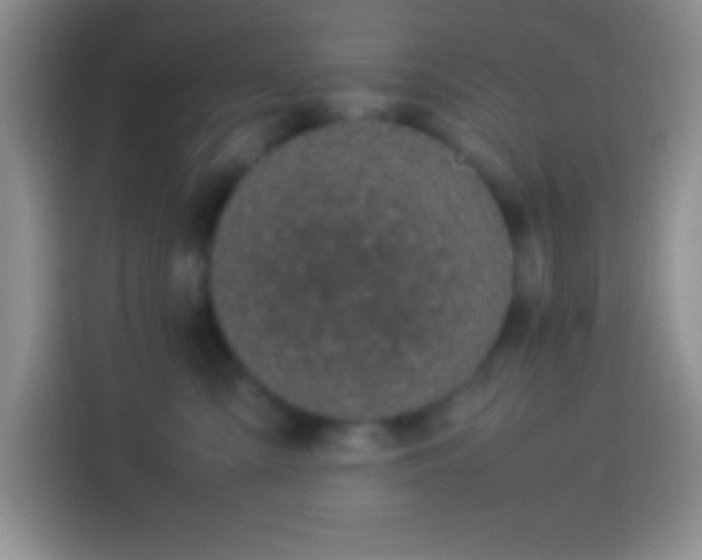 X0000113910427200910011452