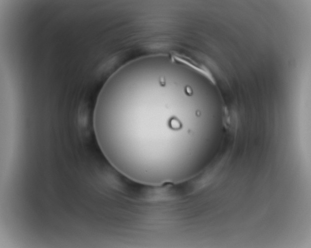 X0000113910428200910011452