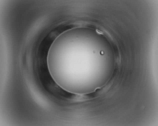 X0000113910429200910011452