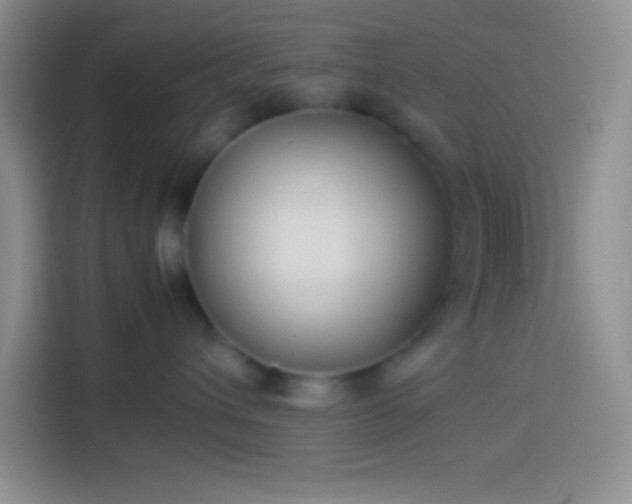 X0000113910432200910011452