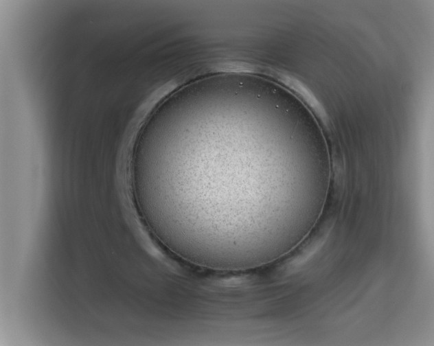 X0000113910433200910011452