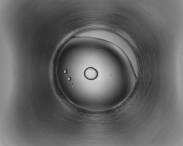 X0000113910436200910011452