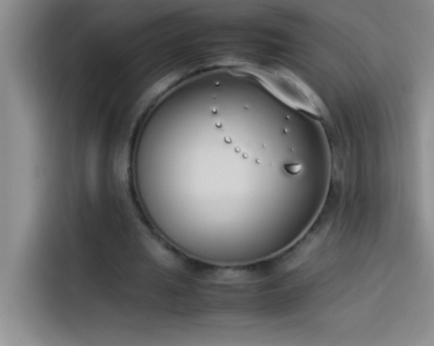 X0000113910437200910011452