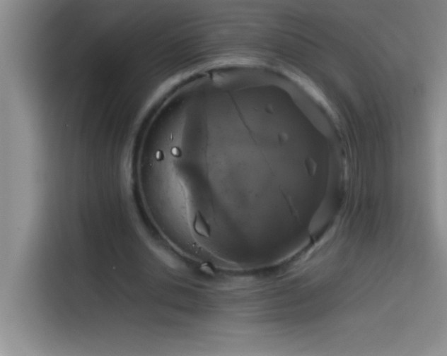 X0000113910438200910011452