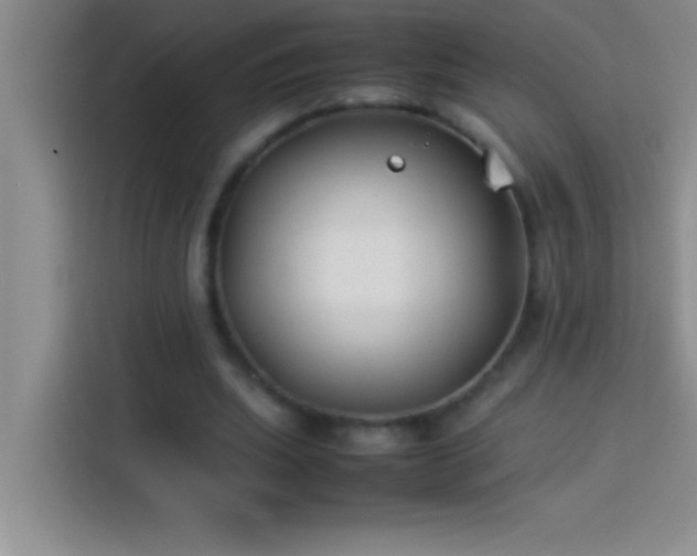 X0000113910439200910011452