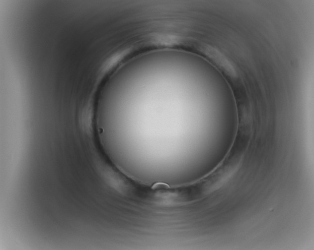 X0000113910440200910011452