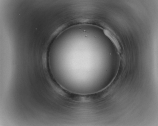 X0000113910442200910011452