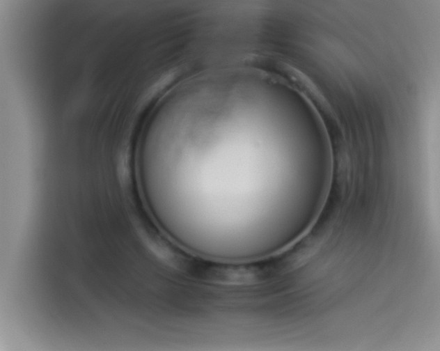 X0000113910443200910011452