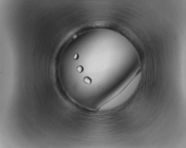 X0000113910444200910011452