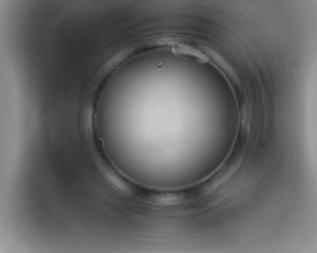 X0000113910445200910011452