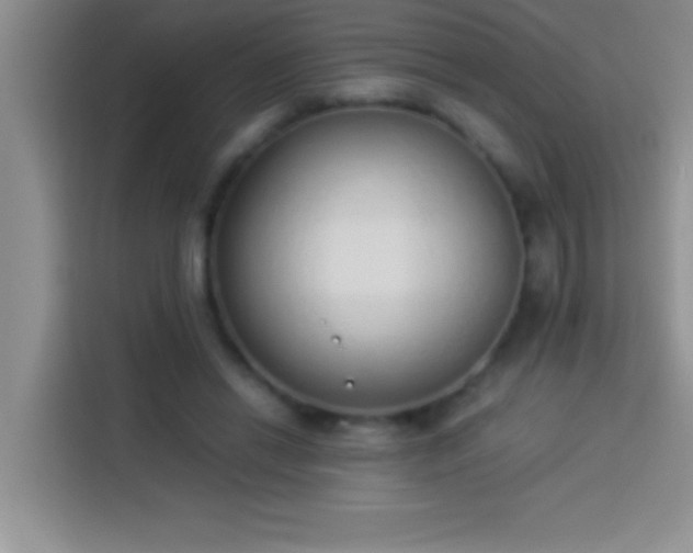 X0000113910446200910011452