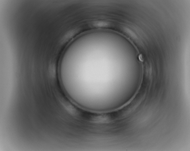 X0000113910447200910011452