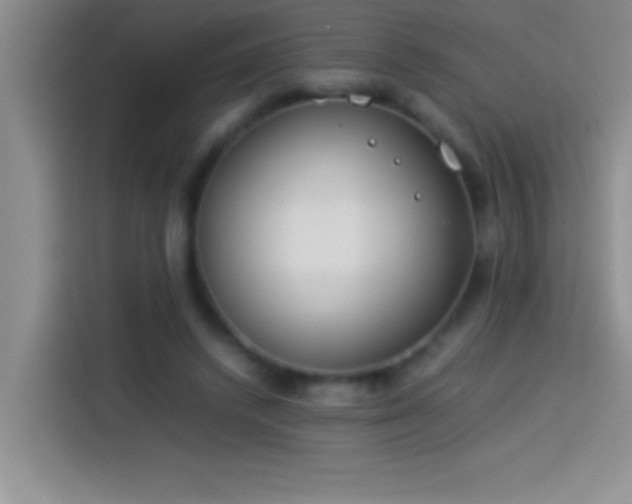 X0000113910448200910011452