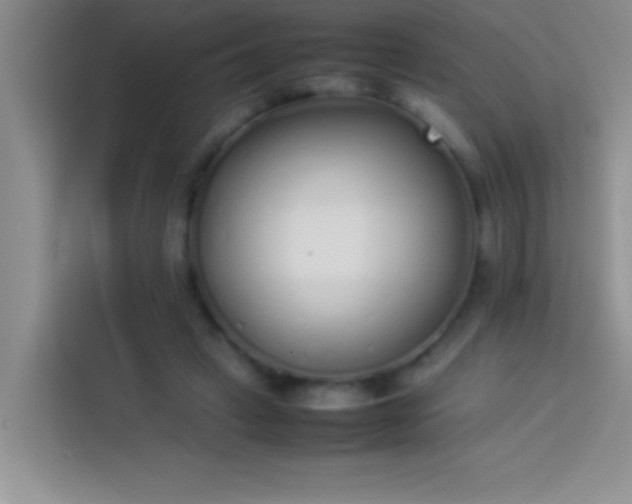 X0000113910449200910011452