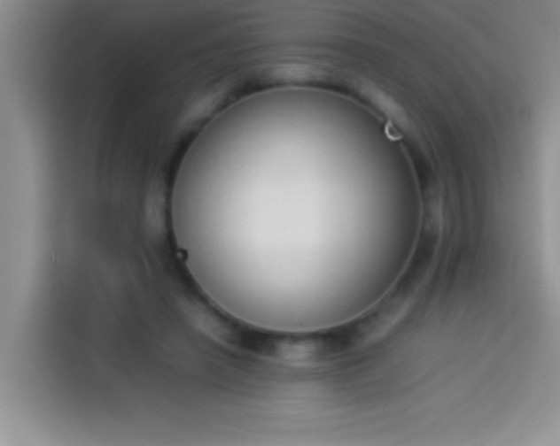 X0000113910450200910011452