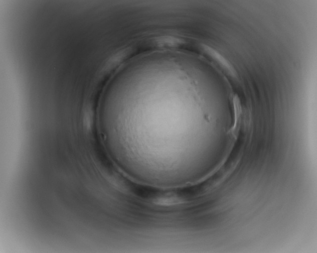 X0000113910451200910011452