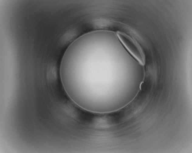 X0000113910452200910011452