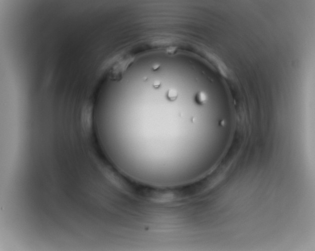 X0000113910454200910011452