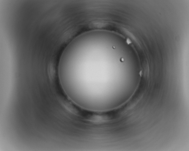 X0000113910455200910011452