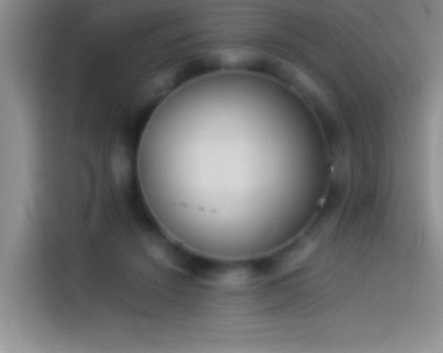 X0000113910456200910011452