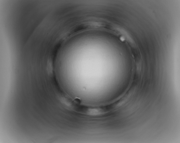 X0000113910457200910011452