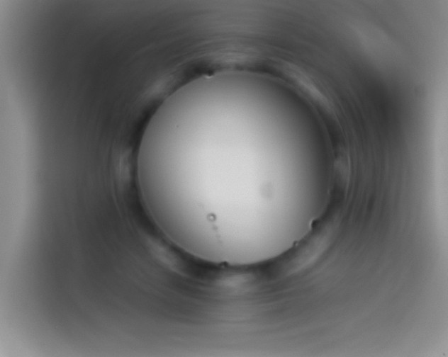 X0000113910458200910011452