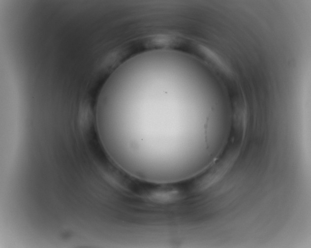 X0000113910459200910011452