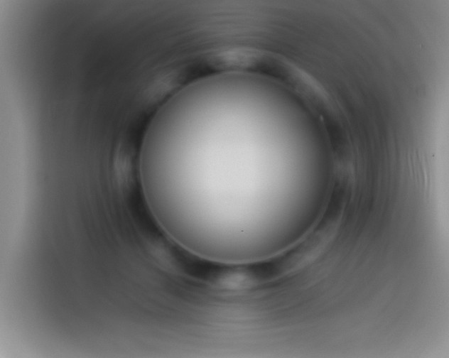 X0000113910460200910011452