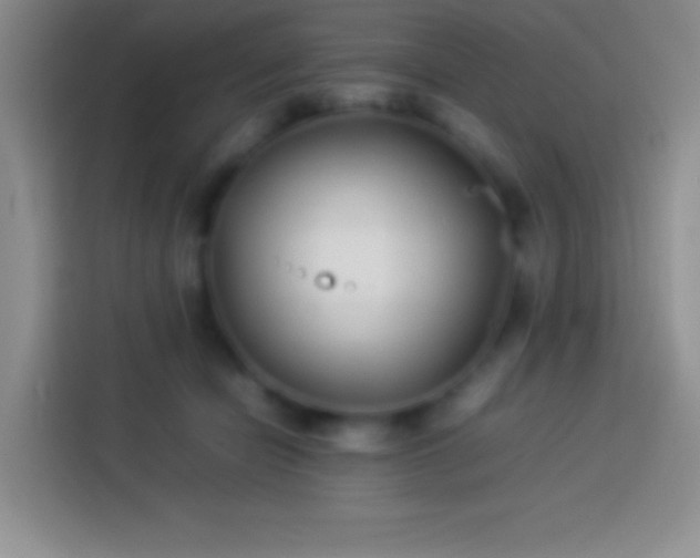 X0000113910462200910011452