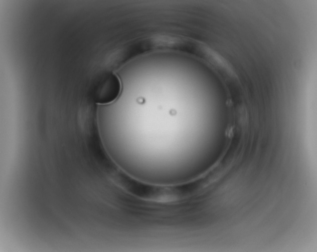 X0000113910463200910011452