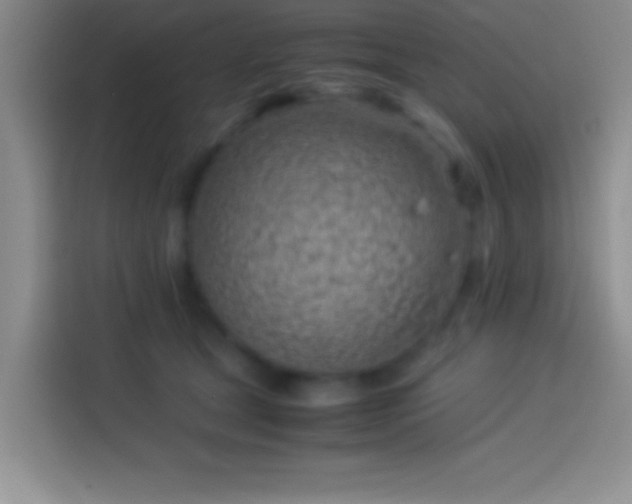 X0000113910465200910011452