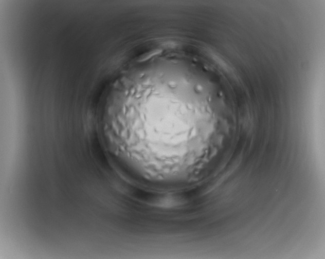 X0000113910467200910011452