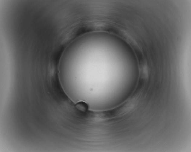 X0000113910472200910011452